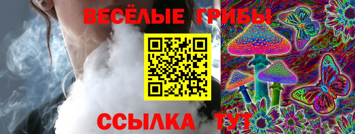 Галлюциногенные грибы Psilocybine cubensis Жигулёвск